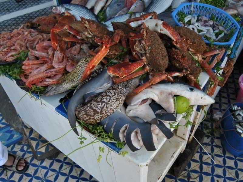 Dar Ness Essaouira Exterior foto